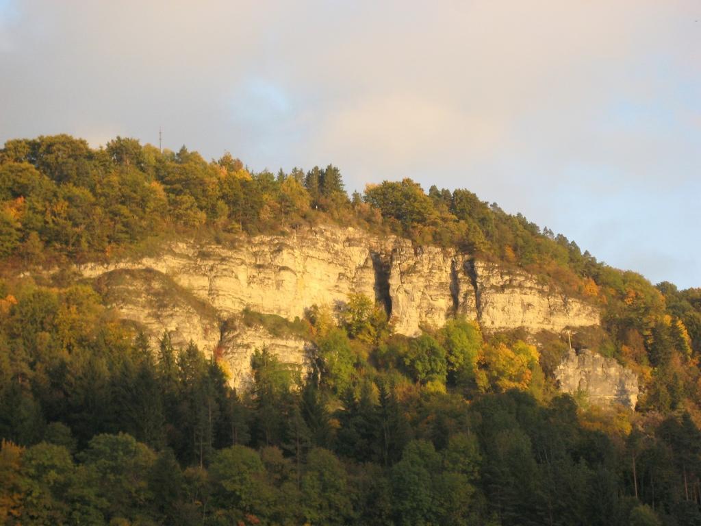Gaestehaus Krone Oberndorf am Neckar 客房 照片