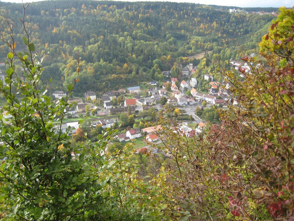 Gaestehaus Krone Oberndorf am Neckar 客房 照片